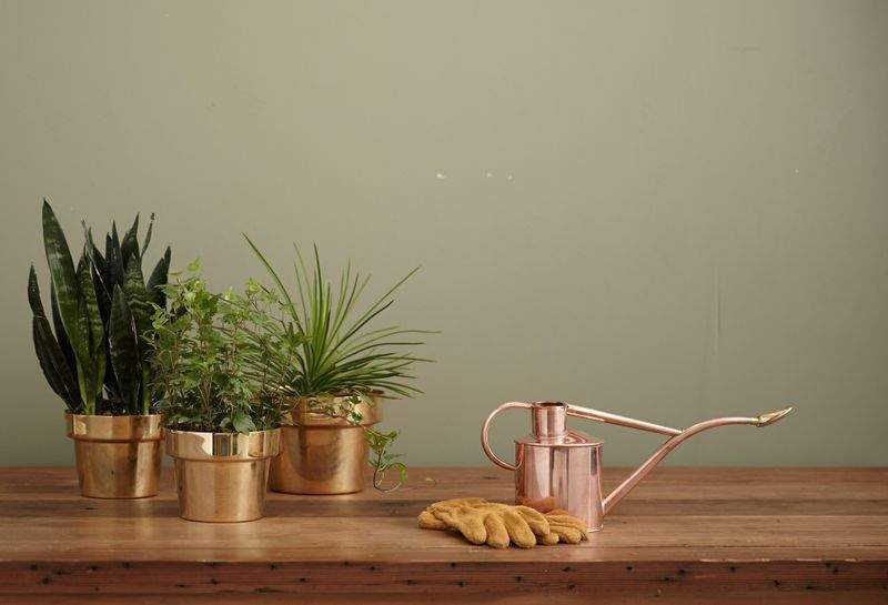 Cómo mantener un jardín saludable durante todo el año
