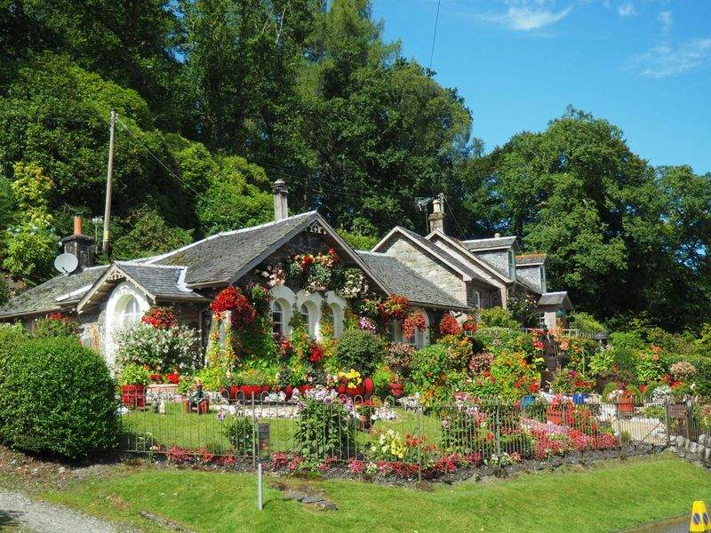 Diseño y planificación de jardines